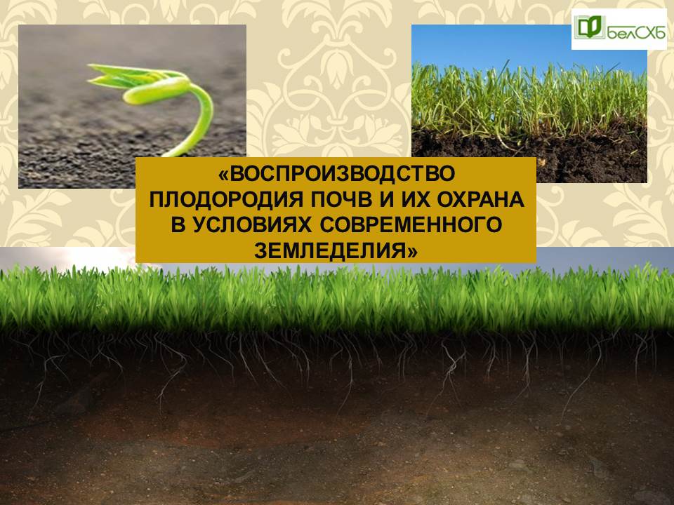 Воспроизводство плодородия почв и их охрана в условиях современного земледелия